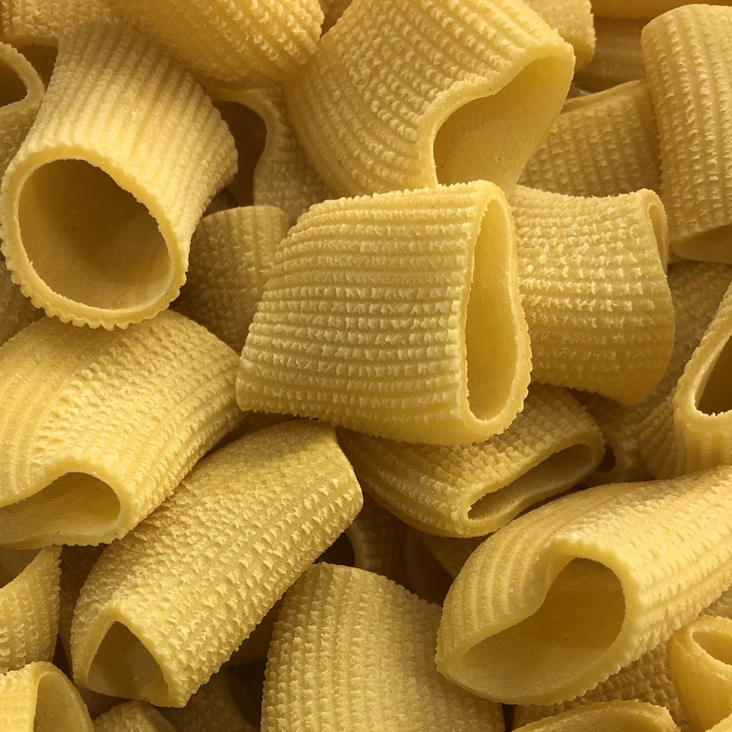 Paccheri Rigati all'Uovo